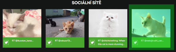 cats_all.png