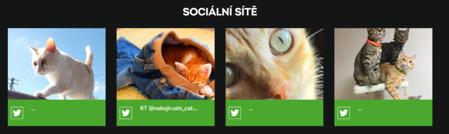 cats_own.png