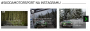 skoda-ep:modules:motorsport-instagram-feed.png