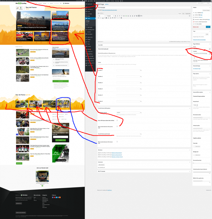 tdf-homepage-settings.png