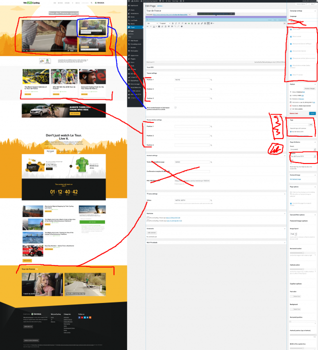 tdf-section-settings.png